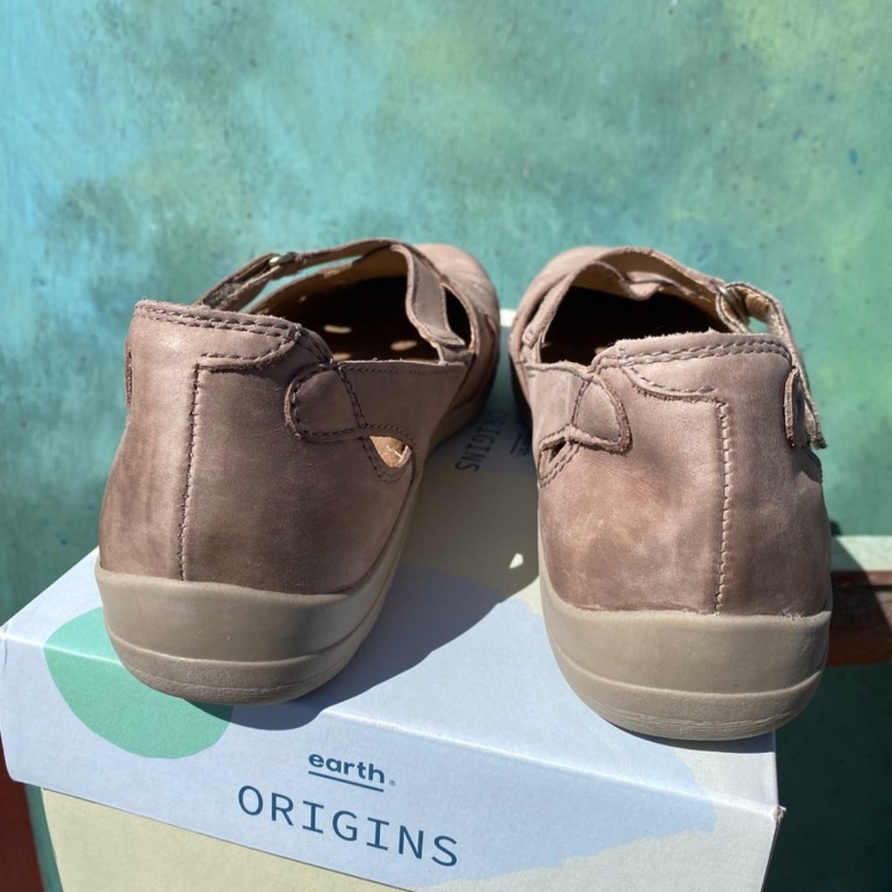 earth origins rapid troy